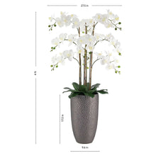 Faux Phalaenopsis orchid with white blossoms, dark green leaves, gray vase
