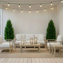 Faux cedar topiary trees in black pots, arranged on a covered patio seating area