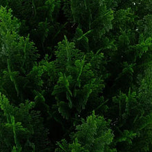 Dense faux cedar foliage on a topiary tree with vibrant green needles