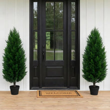 Two faux cedar topiary trees in black pots, for indoor or outdoor entryway decor
