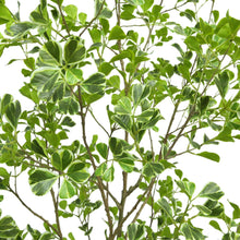 Artificial ficus leaves on branching stems, dense green foliage