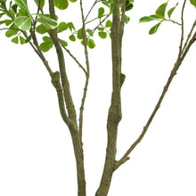 Artificial ficus tree trunk with clustered green leaves