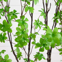 Faux enkianthus tree leaf cluster with bright green foliage and dark stems
