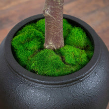 Faux willow tree in dark round planter with green moss at the base