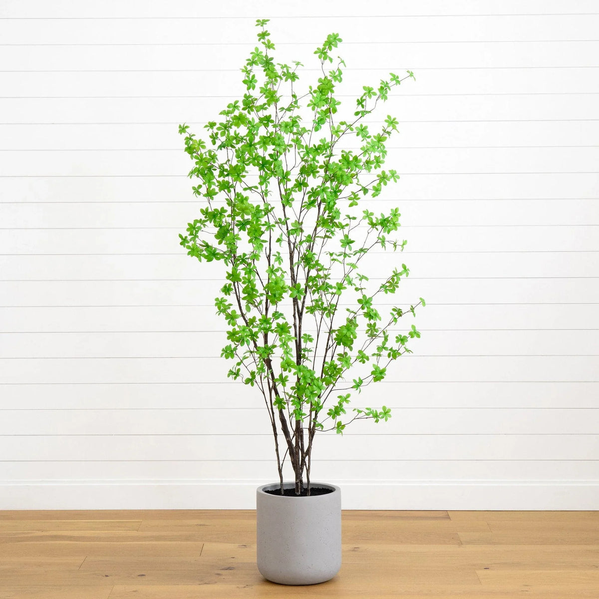 Faux 7‚Äô Enkianthus Tree - USA MEGA SHOP