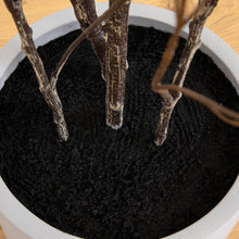 Faux enkianthus tree trunks rising from dark soil in a white planter