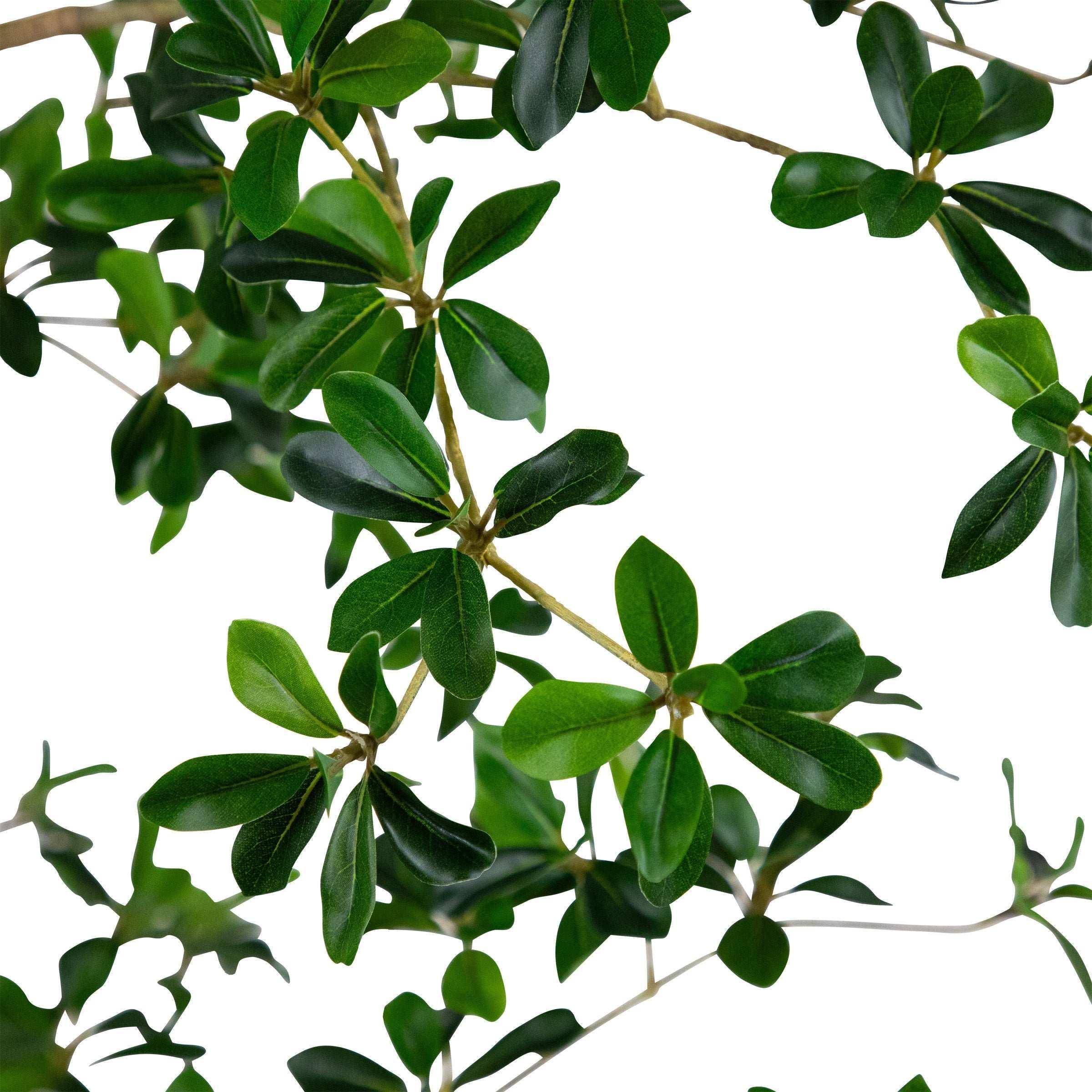 Faux 8’ Quince Tree