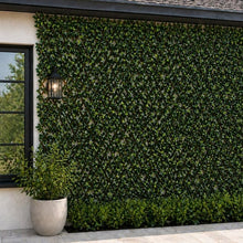 Faux gardenia hedge trellis covering an exterior wall with dense dark green foliage
