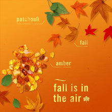 Febreze PLUG Air Freshener, Baked Cinnamon Apples & Crisp Fall Breeze, 1 Warmer + 5 Refills, 4.35 fl. oz.