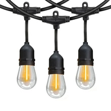 LED string lights with dark cord and three clear glowing bulbs