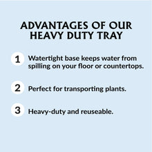 Heavy-duty seed tray benefits graphic with numbered points