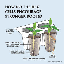 Seed-starting tray hex cell roots diagram showing plant roots inside containers