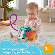Hedgehog plush sensory toy in baby’s lap, showing colorful spiky back and patterned ear