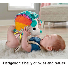 Hedgehog plush sensory toy held by a baby, showing colorful spiky back and face