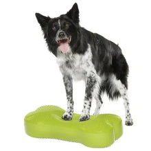 Inflatable dog duo exercise disk, bright green, with dog standing on top