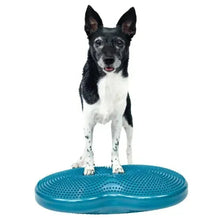 Inflatable dog duo exercise disk in blue with dog standing on top