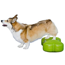 Inflatable dog duo exercise disk in bright green with textured surface