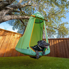 Green tented saucer swing with orange trim, with a dog sitting inside outdoors.