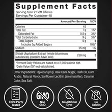 Shilajit supplement facts label showing calories, sugars, and serving size