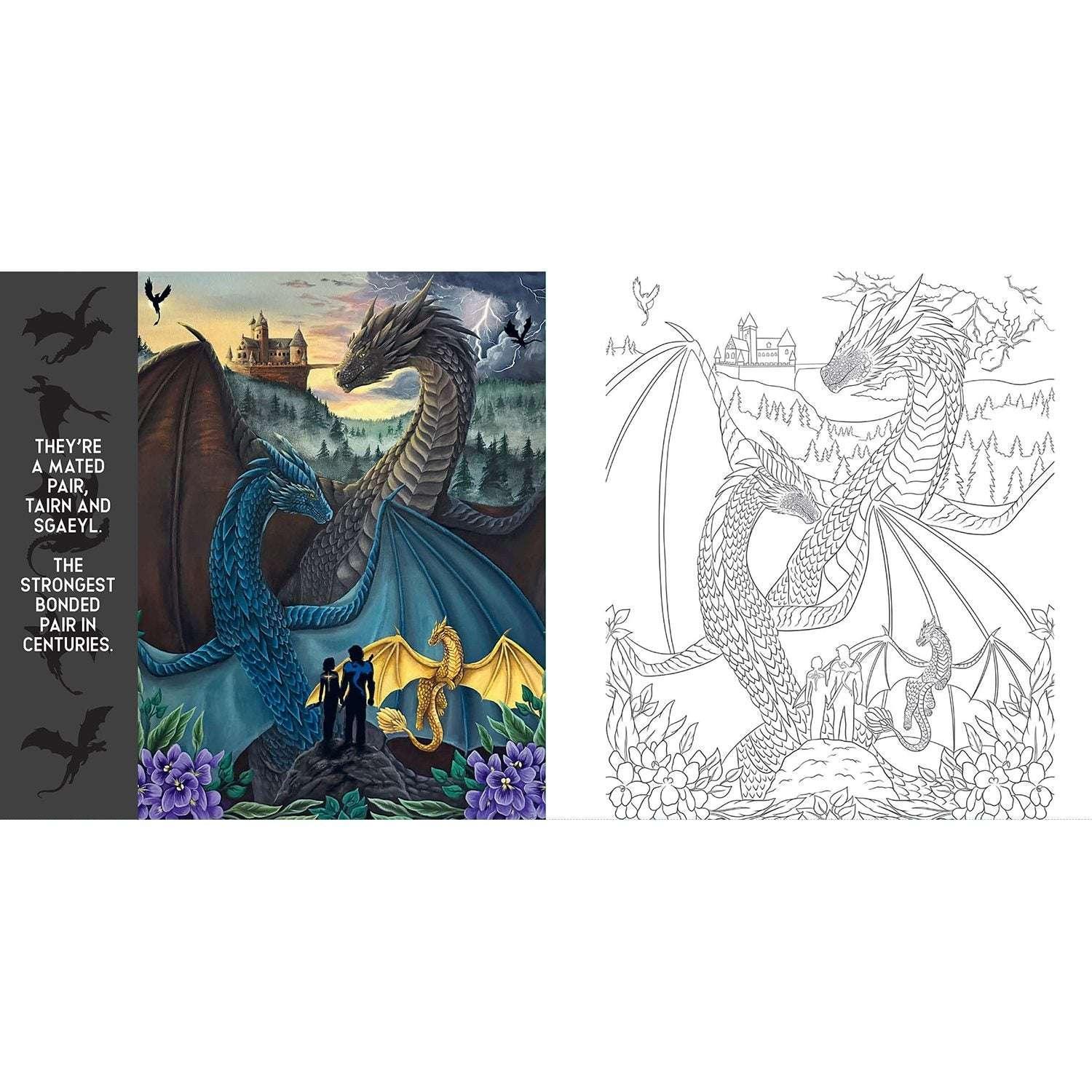 Fourth Wing: The Official Coloring Book, Paperback - USA MEGA SHOP