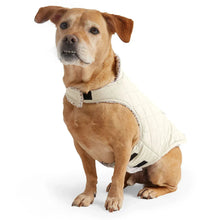 Light cream quilted dog coat vest with sherpa-lined collar and belly panel.