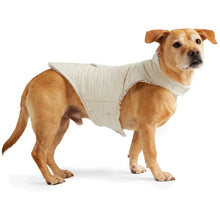 Cream sherpa-trim quilted dog coat with front strap details and leg holes.