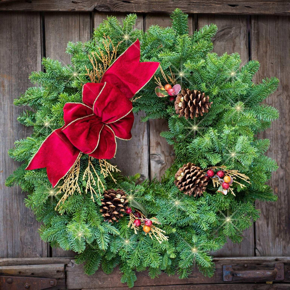 Fresh Cranberry Splash Lighted LED Wreath - USA MEGA SHOP