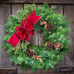 Fresh Cranberry Splash Lighted LED Wreath - USA MEGA SHOP
