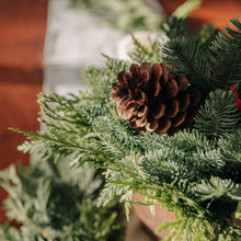 Evergreen branches with pinecones and dark pine needles in wooden box