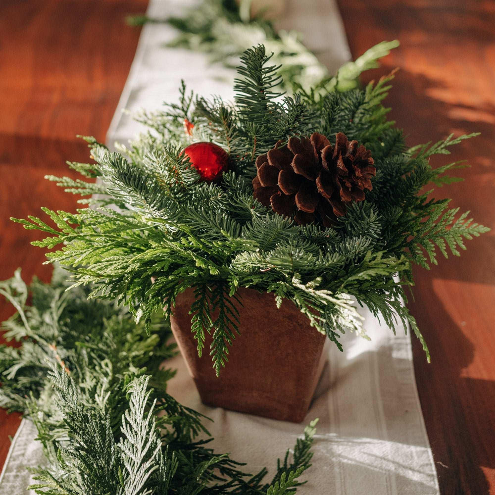 Fresh Northwest Greens Holiday Centerpiece - USA MEGA SHOP