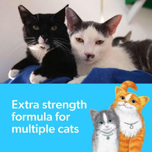 Cat litter promo with extra strength multi-cat text and cat illustration