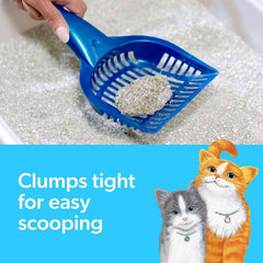 Fresh Step, Extra Strength Multi-Cat Scented Clumping Litter, Febreze Fresh Scent, 42 lbs.