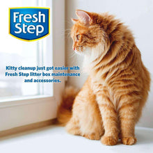 Cat sitting beside a litter box near a window, looking to the side