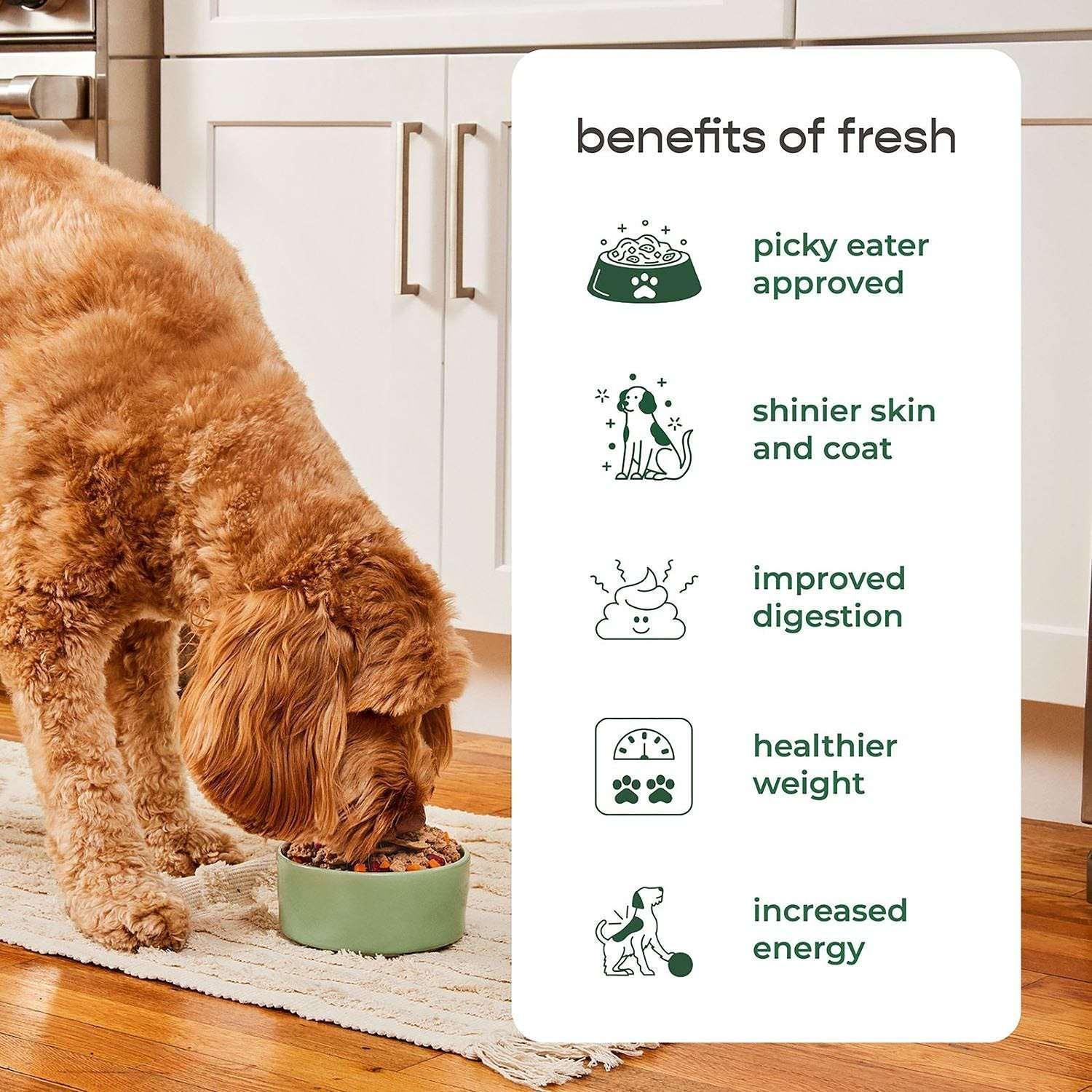 Freshpet Small Dog Small Bites Chicken Recipe, 2 lbs. packs, 3 ct.