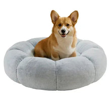 Light gray plush donut pet bed with raised rim, shown with a sitting dog