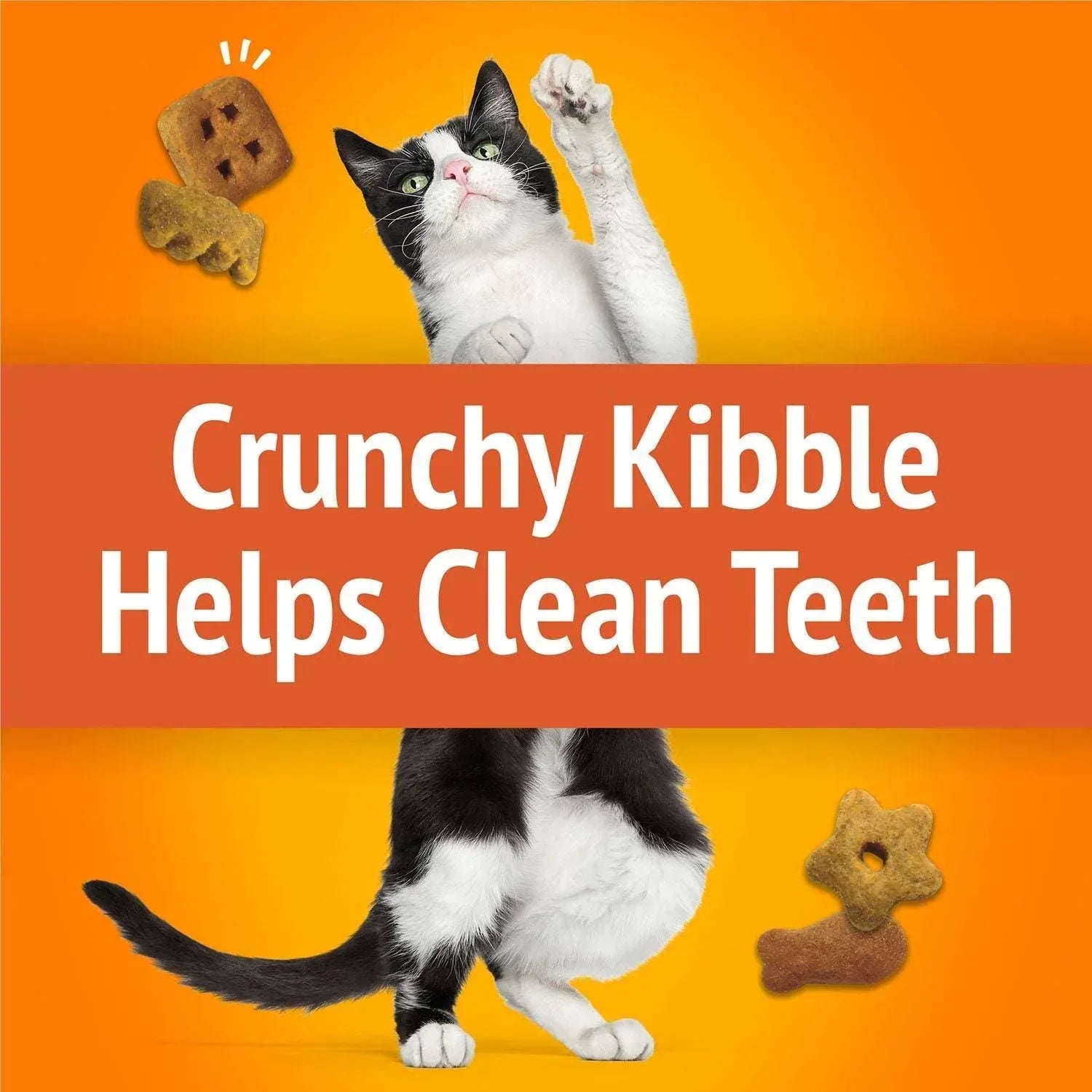 Friskies Party Mix Party Variety Pack, Cat Treats, 60 oz.