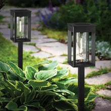 Solar pathway lantern lights with clear glass panels and warm LED glow on ground stakes