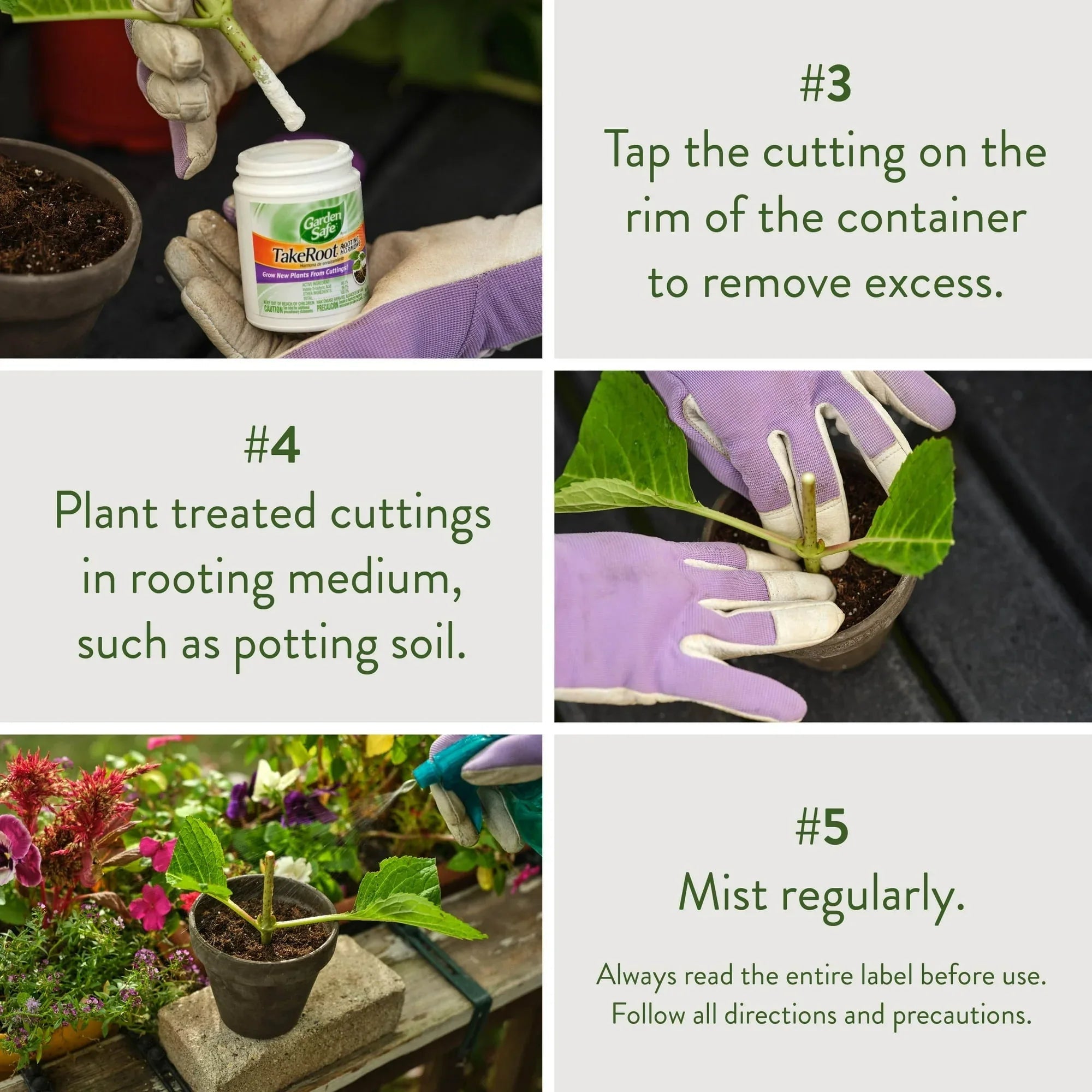 Garden Safe Take Root Rooting Hormone Powder, Grow New Plants from Cuttings, 2 Ounces