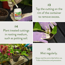 Gloved hands and jar with rooting powder; tap and mist instructions shown