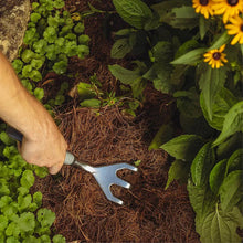 Two-tine garden weeding tool in use near seedlings and garden mulch