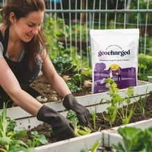 Geocharged organic fertilizer bag held near garden plants
