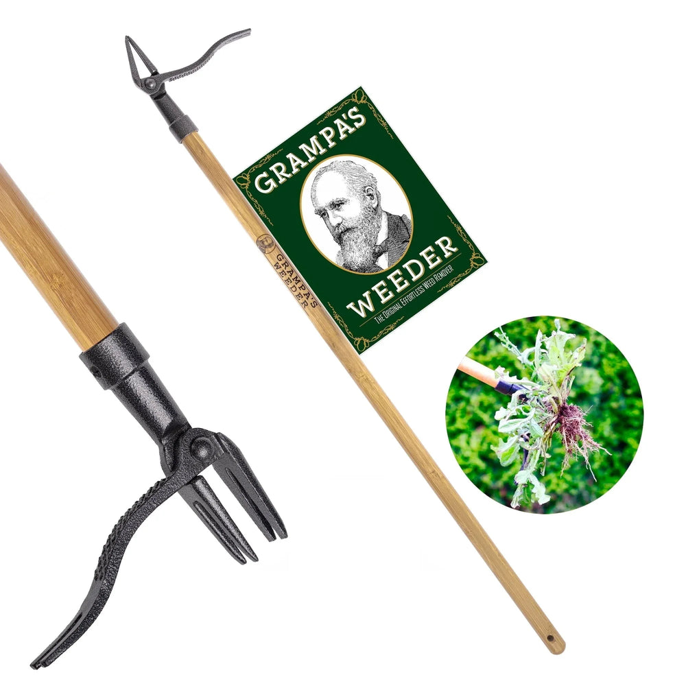 Grampa's Weeder - The Original Stand Up Weed Puller Tool With Long Handle - Made With 4-Claw Steel Head Design - Easily Remove Weeds Without Bending, Pulling, or Kneeling - USA MEGA SHOP
