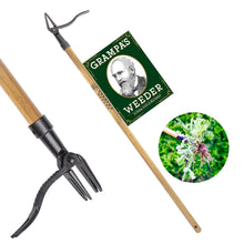 Stand-up weed puller with 4-claw steel head and wooden long handle