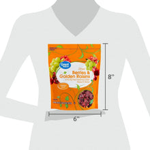 Great Value dried berries and golden raisins snack bag dimensions on model: 6 in x 8 in