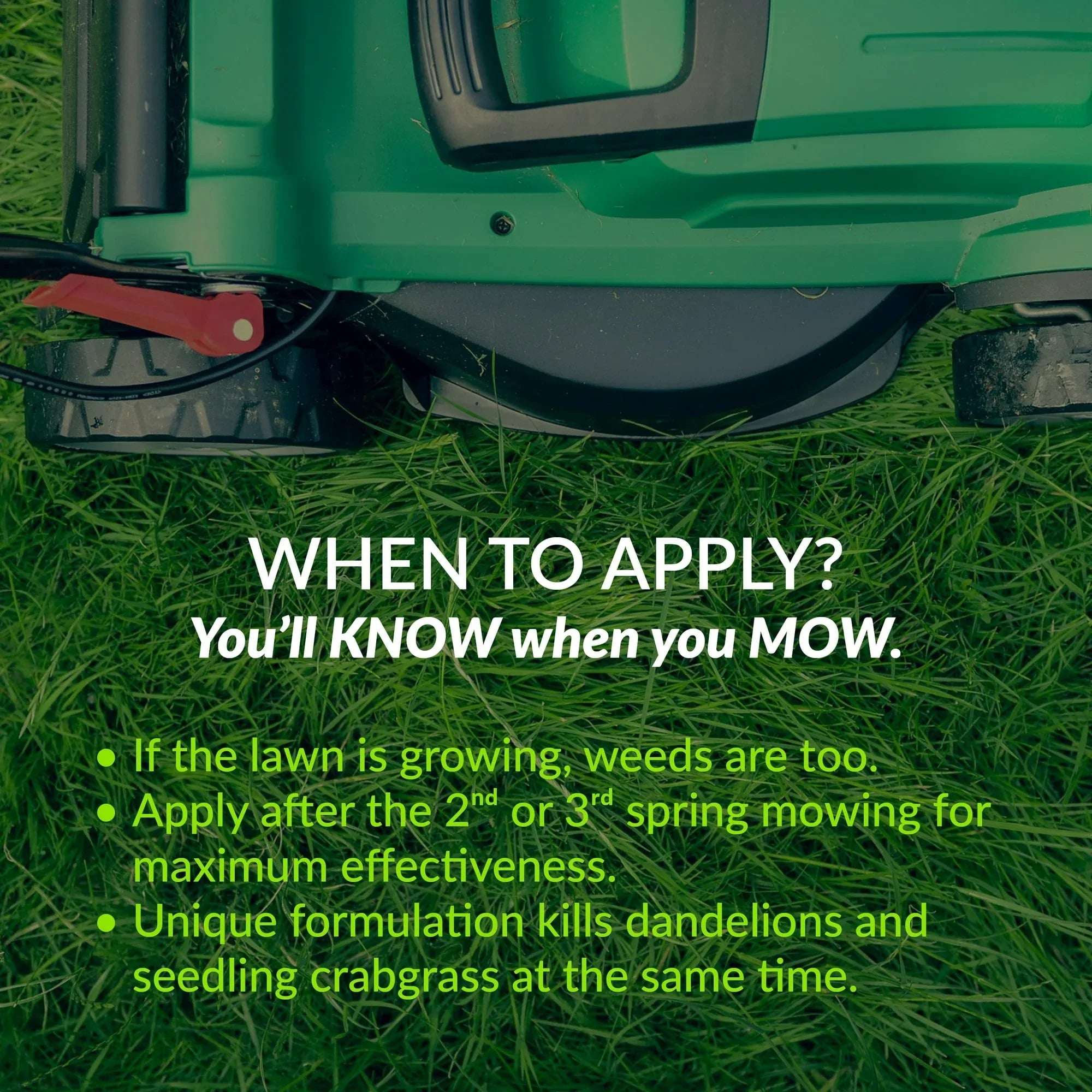 GreenView Fairway Formula Spring Fertilizer Weed & Feed + Crabgrass Preventer - 18 lbs Covers 5,000 Sq. ft