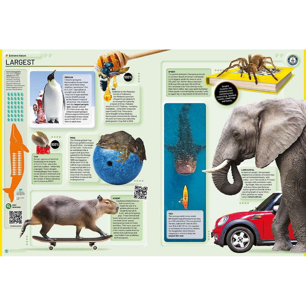 Guinness World Records 2026, Hardcover - USA MEGA SHOP