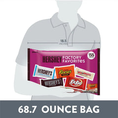 HERSHEY'S Assorted Chocolate Factory Favorites Snack Size Candy, 155 pcs. - USA MEGA SHOP