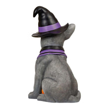 Halloween French bulldog yard greeter figurine sitting, witch hat and purple collar facing away