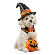 Halloween witch dog greeter figurine sitting, black-and-orange hat, pumpkin jack-o-lantern