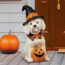 Halloween witch dog greeter figurine in black and orange hat, holding jack-o-lantern